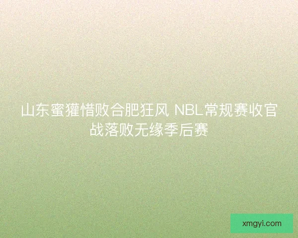 山东蜜獾惜败合肥狂风 NBL常规赛收官战落败无缘季后赛 山东蜜獾惜败合肥狂风 NBL常规赛收官战落败无缘季后赛